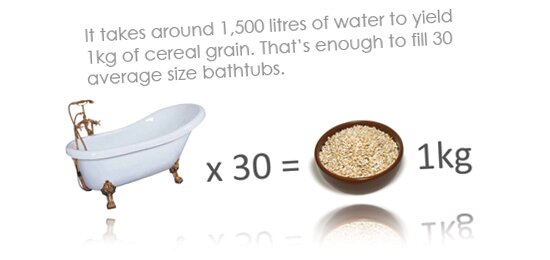 bathtub