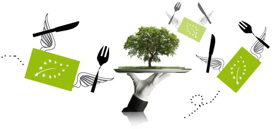 hungry_4_land_1